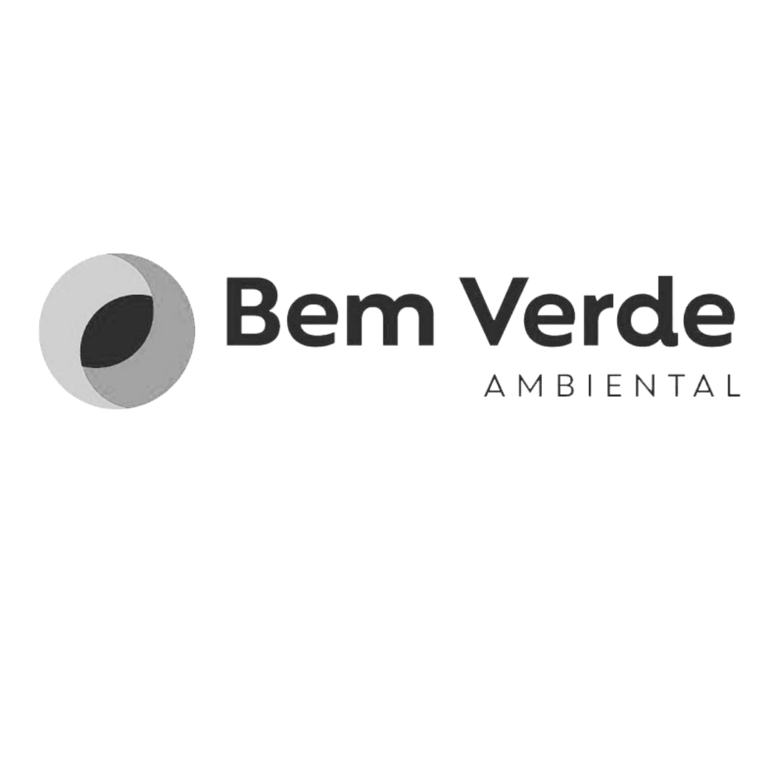 logo bem verde site